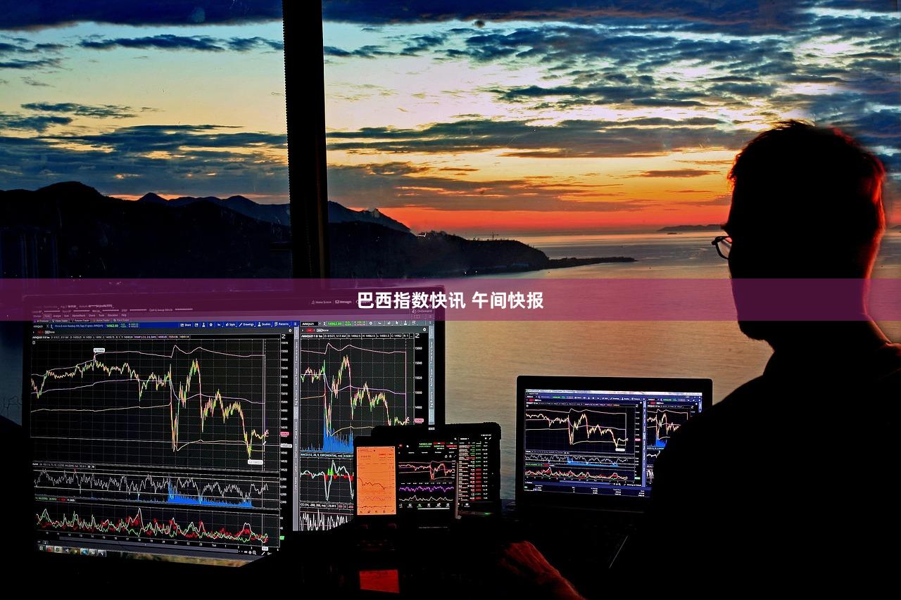 巴西指数快讯 午间快报