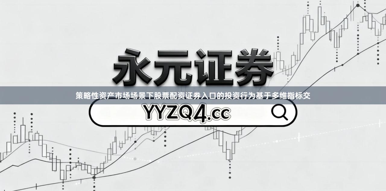 策略性资产市场场景下股票配资证券入口的投资行为基于多维指标交