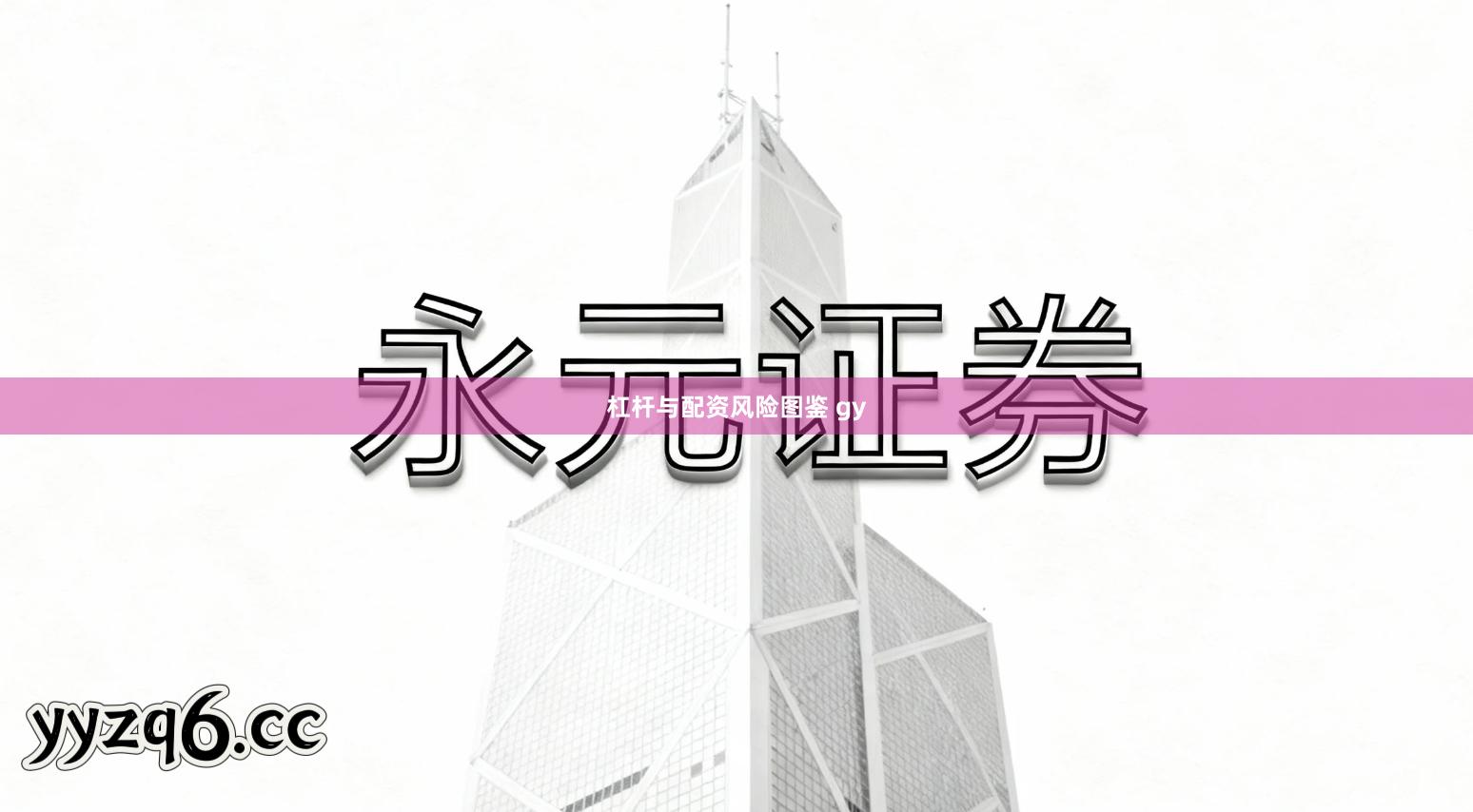 杠杆与配资风险图鉴 gy